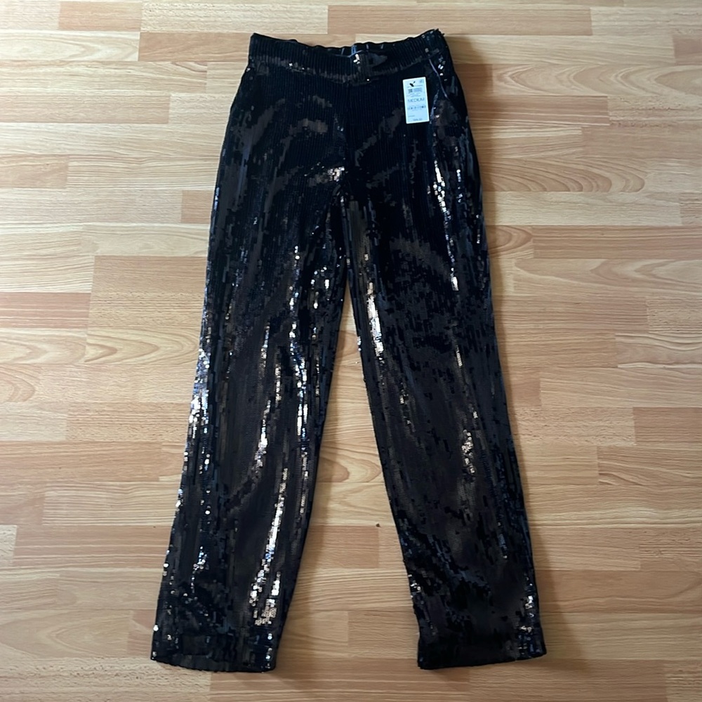 NWT INC pull on straight leg sequin lined pants